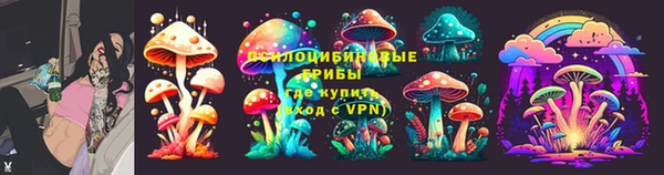 гидра Арсеньев