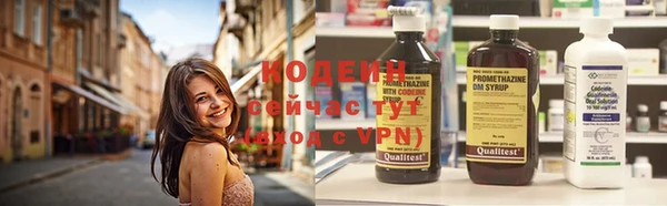 гидра Арсеньев