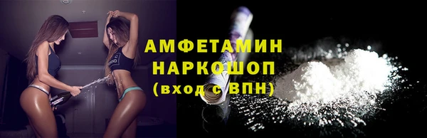гидра Арсеньев