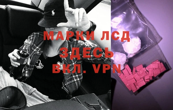 гидра Арсеньев