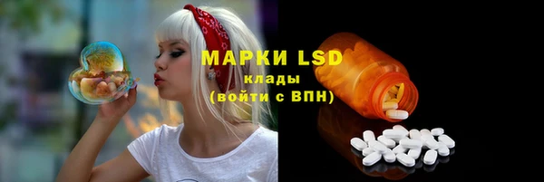 гидра Арсеньев