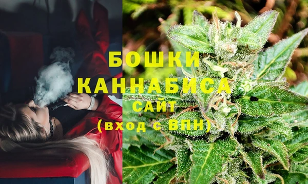 гидра Арсеньев