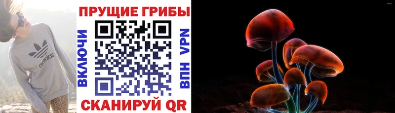 закладка  Радужный  blacksprut зеркало  Галлюциногенные грибы мицелий 